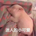 MC 安不浪 - 长安城内等你