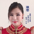 杜长江 - 秋愁