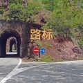 蓝泡泡 - 领风者