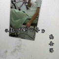 高金洋 - 起伏的日子