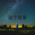 这个夜里