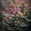 虞姬、圈妹 - 寂寞的夜