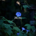 虞姬、秀秀 - 快乐你懂的