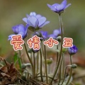 阿琪、虞姬 - 下辈子不做女人