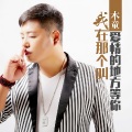 木童 - 我在那个叫爱情的地方等你 (DJ版)