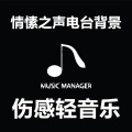 萧亮 - 乱红-伤感轻音乐电台