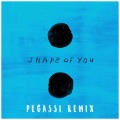 Pegassi - Shape Of You (Pegassi Remix)