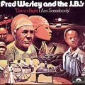 the j.b.'s - Blow Your Head