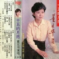 董文华 - 十五的月亮