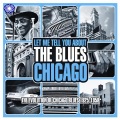 junior wells - Hoodoo Man