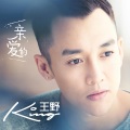 王野 - 亲爱的