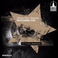 DJ Dnk、Lisitsyn、Stepanov - Watching You (DJ DNK Remix)