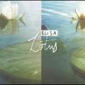 Elisa - Broken
