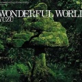 WONDERFUL WORLD (Instrumental)