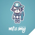 Different Heaven - Wot is Swag