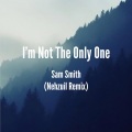 Sam Smith、Nehzuil - I'm Not The Only One (Nehzuil Remix)