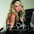 Picture To Burn (Radio Edit)