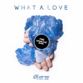 What A Love (Steerner Bootleg)