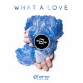 Steerner、Mike Mago - What A Love