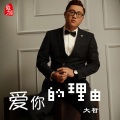 大哲 - 爱你的理由