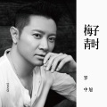 罗中旭 - 梅子青时