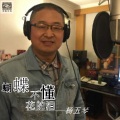 杨五琴 - 蝴蝶不懂花的泪