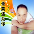 心有林夕 - 天涯情