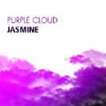 孙嘉敏 - Purple Cloud (Maxerface Original Mix)
