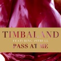 Timbaland、Pitbull - Pass At Me