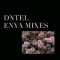 dntel - Afer Ventus
