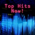 The Chart Toppers - If You Seek Amy (Singalong Version)