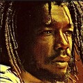 peter tosh - Walk and don‘t look back