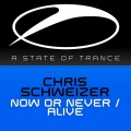 Now Or Never (Original Mix)