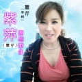 董芹 - 不要以为离不开你