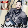 Pepe Aguilar - Cien A?Os