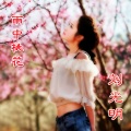 刘光明 - 红尘陌上花