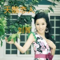 刘菁 - 天鹅恋歌