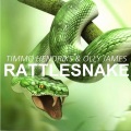 Rattlesnake (Original Mix)