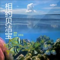 张狄、李思音 - 相约贝洁宝