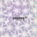 Cosmos - 为什么