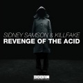 Revenge of the Acid (Original Mix)