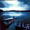 LiL LuLu - Blue Algae