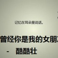 酷酷壮 - 曾经你是我的女朋友