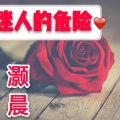 灏晨 - 洛日挽霞