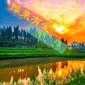 陈缘 - 千年姻缘 (Feat. 夕颜)