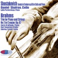 Johannes Brahms - Trio for Piano and Strings No.2 in C major,Op.87-8.Finale:Allegro giocoso
