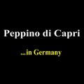 peppino di capri - Nur ein souvenir