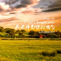 四叶草 - 过往的温柔