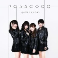 PassCode - オレンジ