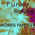 Morris Fantasy - Funky House (Original Mix)